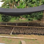 Guardia Campesina y Popular de Antomoreno, Sotará