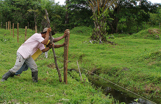 Amenazas reclamantes de tierras en Urabá.