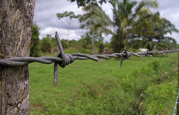En Guacamayas no habrá restitución de predios