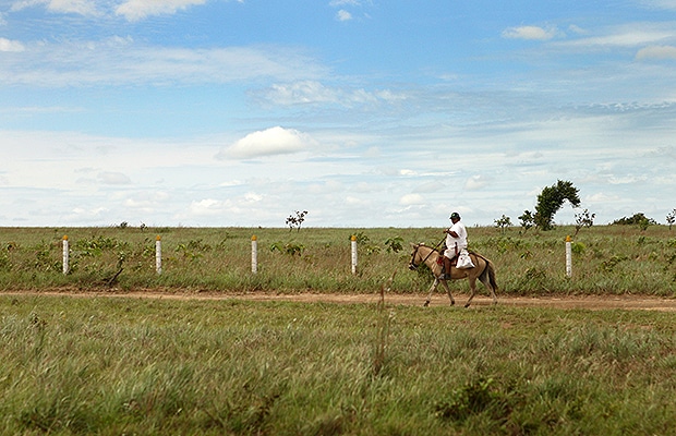 incoder-detrimento-patrimonial-baldios