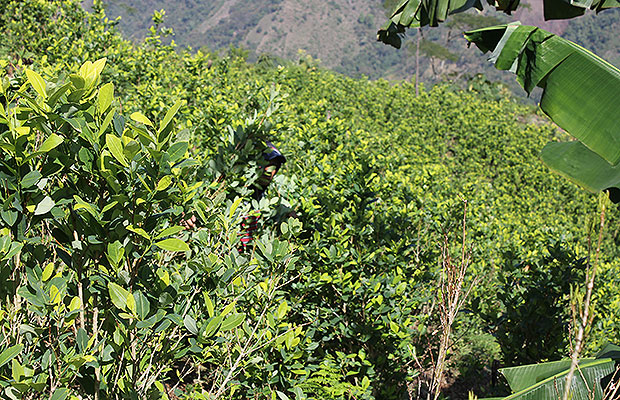 incursion bricenio 2