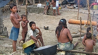 indigenasrearmados320x180.jpg