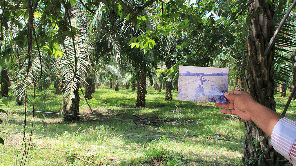 Etapa administrativa restitución de tierras