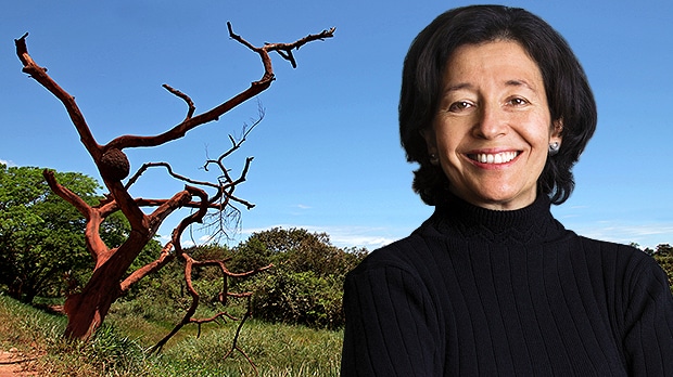 interna-premio-llanos-y-mt