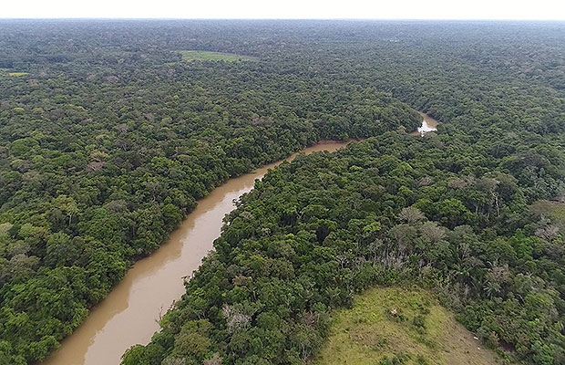 El río Inírida en Guaviare, un caldo de cultivos