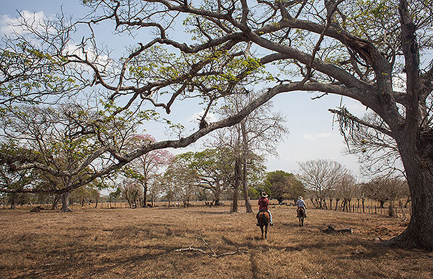 El Cacique de la Junta y el ‘tierrero’ en Las Nubes
