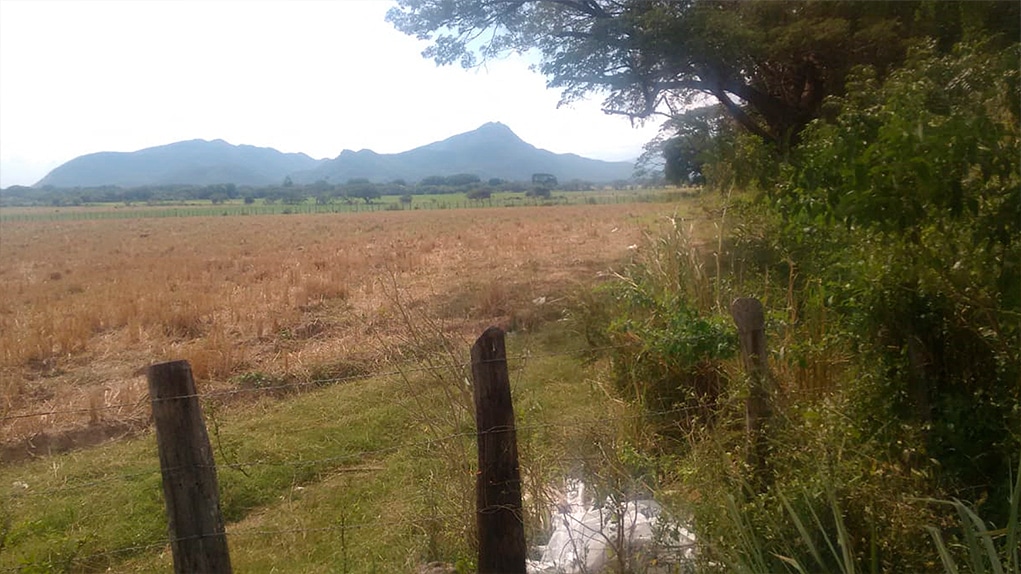 Hacienda Las Nubes, Diomedes Díaz