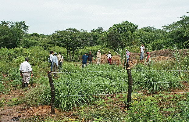 liquidacion incoder 1