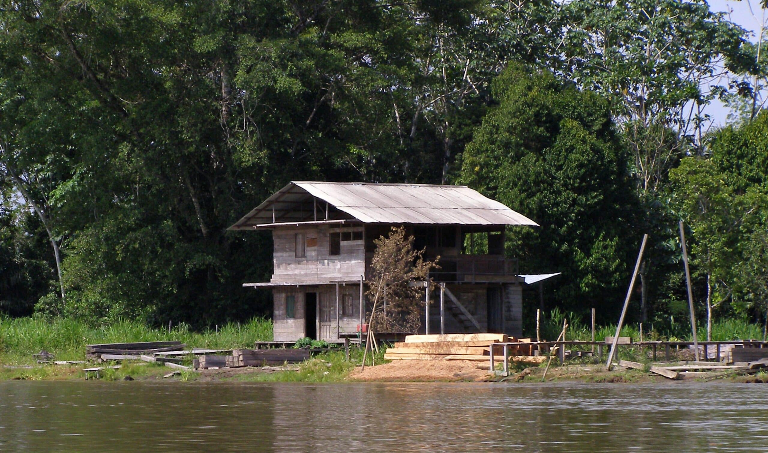 La madera, otro negocio de grupos armados ilegales