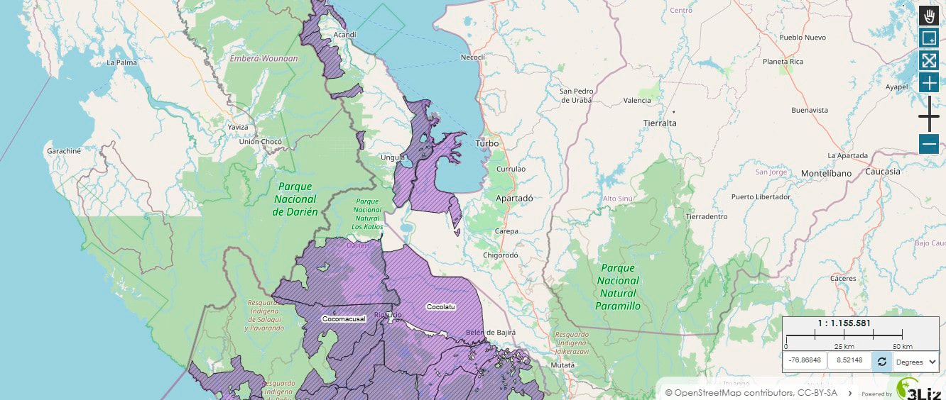 Mapa Consejos comunitarios Cocolatu y Cocomacusal