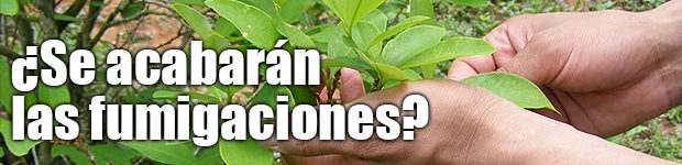 menu-dos-anios-proceso-1