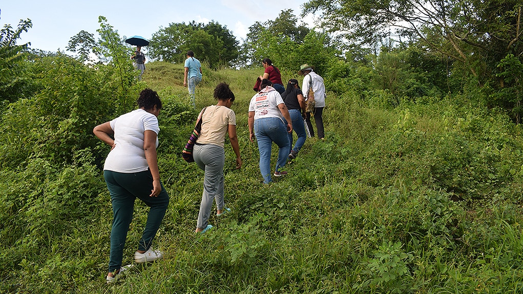 Ni arrendando ni siendo propietarias mujeres en Montes de María pueden disfrutar de la tierra