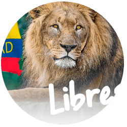Libres No