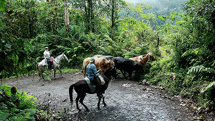 El nuevo Congreso de la República frente a la Reforma Rural Integral