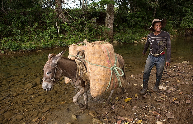 0-parceleros-magdalena-6