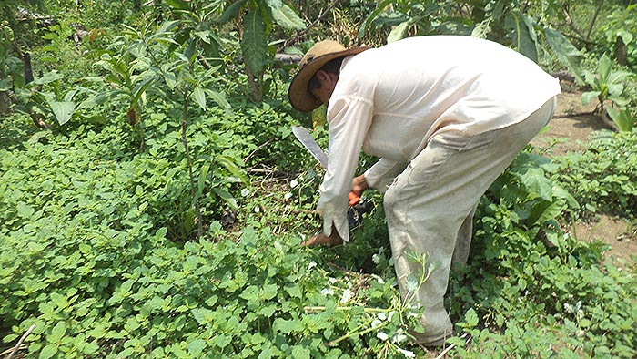 Víctimas piden como reparación el predio Potosí