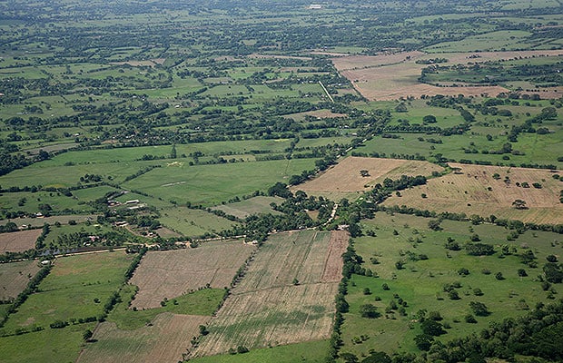 procuraduria tierras otto bula 3