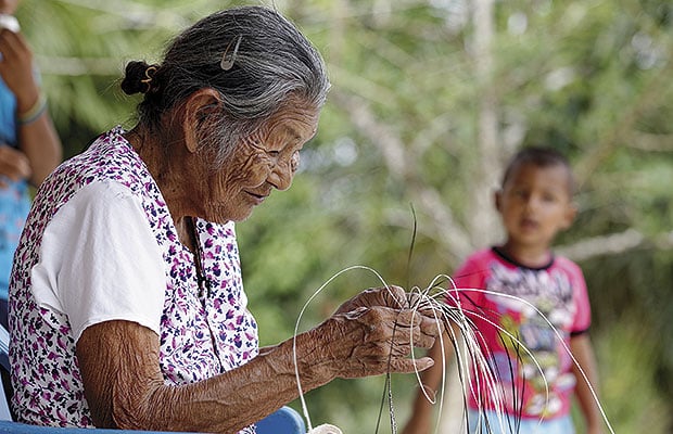 procuraduria tierras otto bula 4