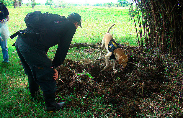 compulsa de copias 3