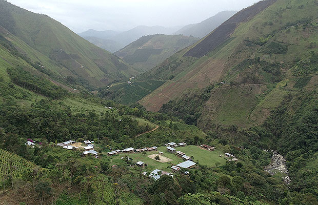 reparacion nasas tolima 2