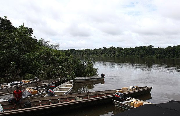 resititucion amazonas 1