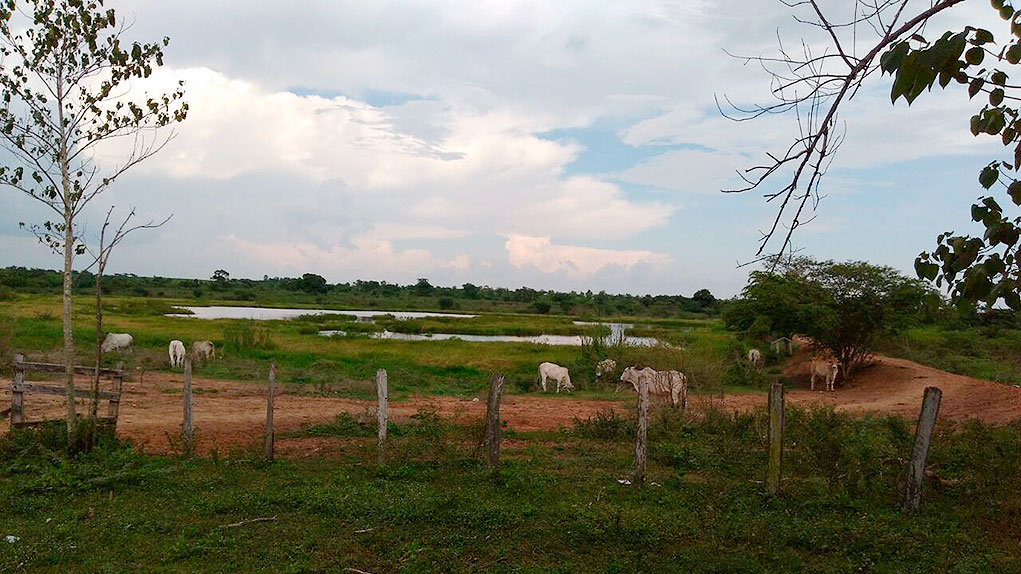 Restitución de tierras en Chibolo, Magdalena