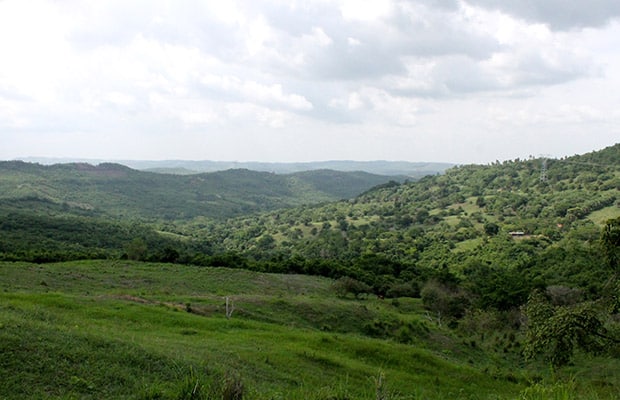 Las solicitudes de restitución que no llegan a los tribunales