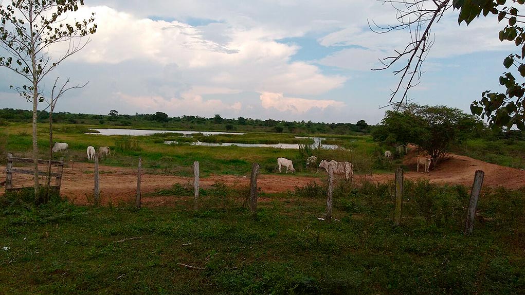 Playones Laura y Castro