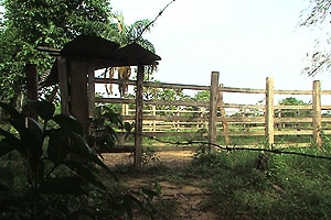 restitucion-puerto-gaitan-300x200