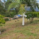 Séptimo Ritual de Memoria Histórica de Kitek Kiwe