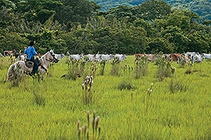 san-alberto-cesar-300x200