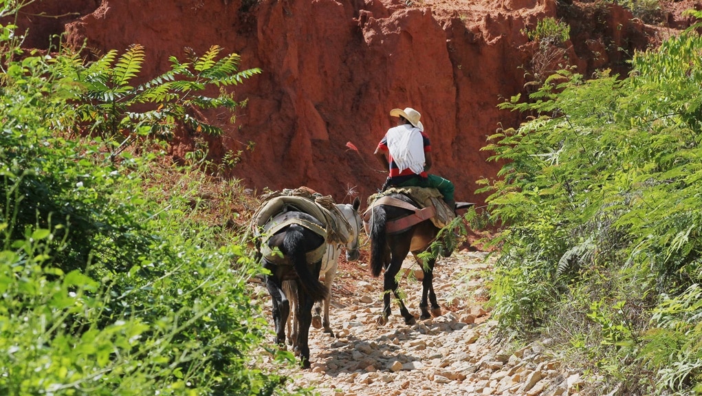 Segovia y Remedios, asediados por ‘gaitanistas’ y guerrilla del Eln