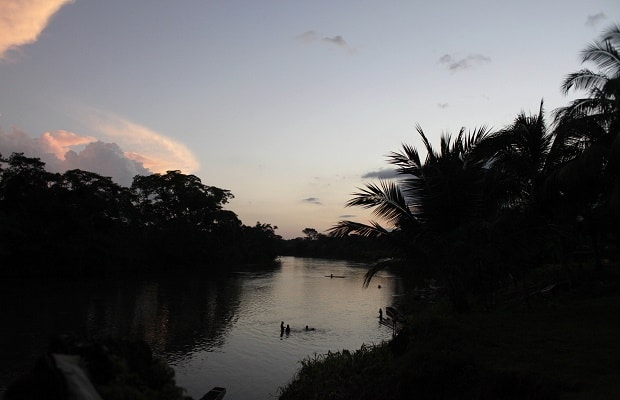 sentencia-palmicultores-620x400-2