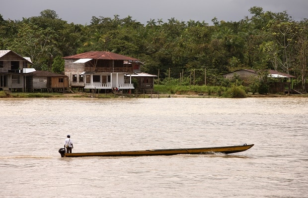 sentencia-palmicultores-620x400-2