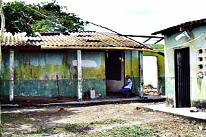 Dueños sin papeles
