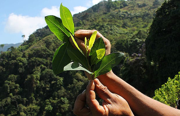 sustitucion bricenio 3