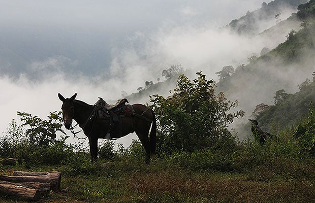 sustitucion bricenio 5