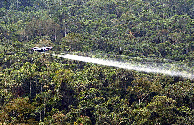 sustitucion putumayo 3