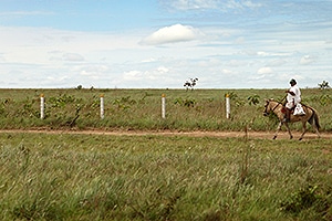 tierras-caballo-300x200.jpg