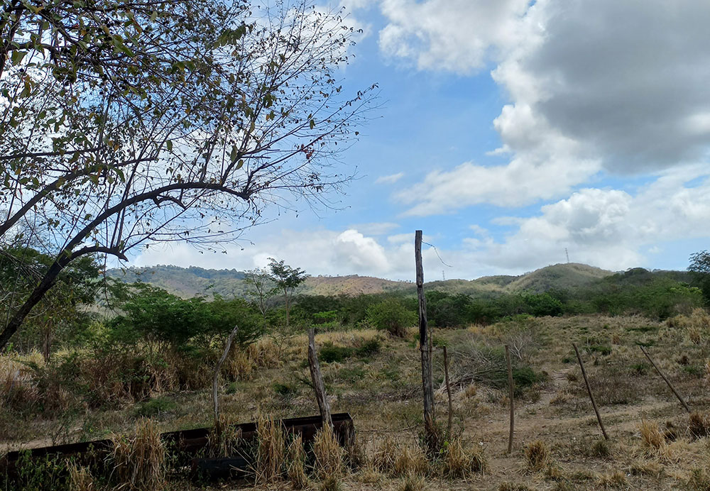 El abandono de la zona agrícola de Güiria. Crédito: ARI.