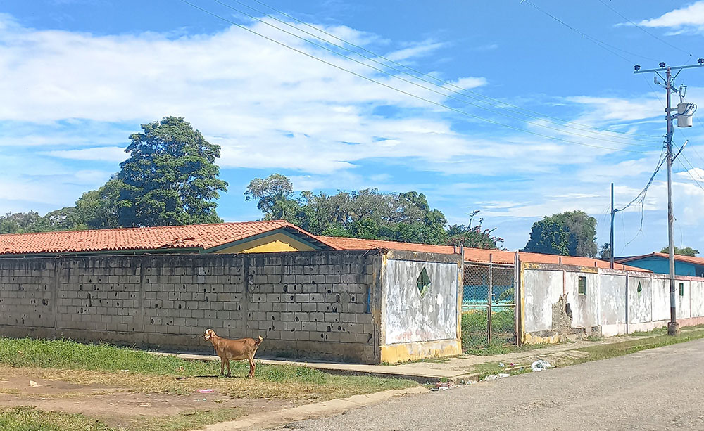 Escuela María Blandín de Alfonso, una de las pocas unidades educativas de Güiria. Crédito: ARI.